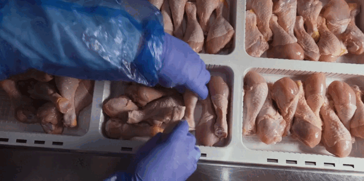 Regulations and Standards for Food Safety