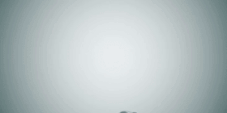 Six Sigma: Entering the Dojo